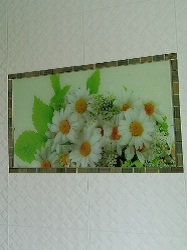 Картины из стекла с фотопечатью