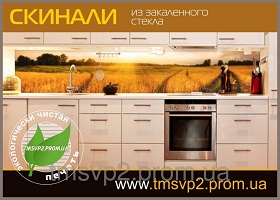 Скинали для кухни из закаленного стекла с УФ фотопечатью