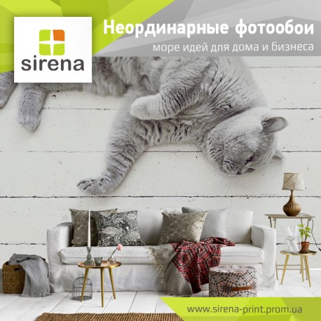 Фотопечать, дизайн, изготовление фотообоев, фресок, панелей
